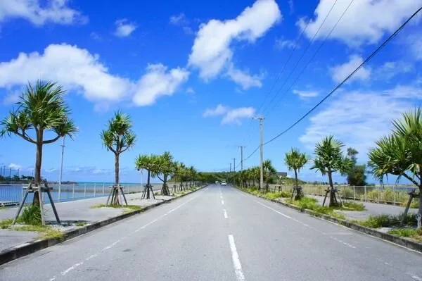 The open coastal road south of Naha, lined with palms under a blue sky